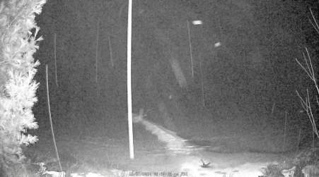Image from 2024-12-27
