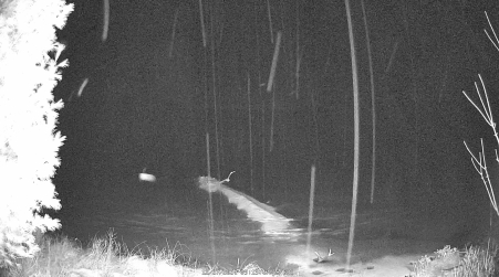 Image from 2024-12-27