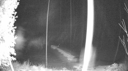 Image from 2024-12-27