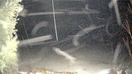 Image from 2024-12-27