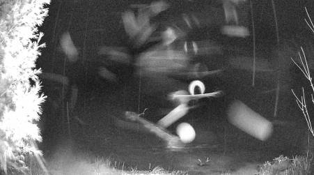 Image from 2024-12-27