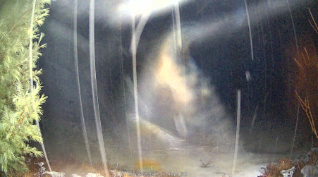 Image from 2024-12-27
