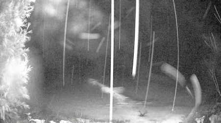 Image from 2024-12-28