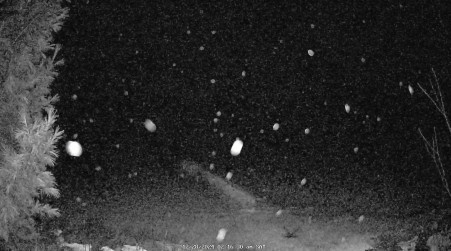 Image from 2024-12-28