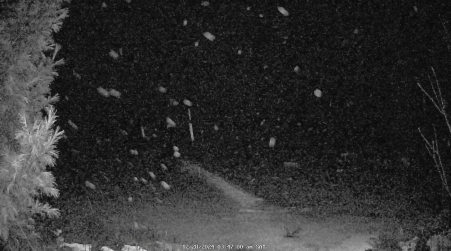Image from 2024-12-28