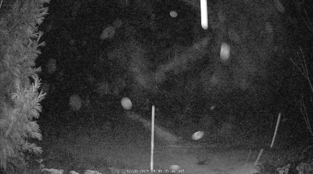 Image from 2024-12-28