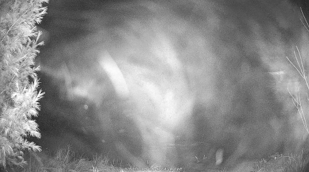 Image from 2024-12-28