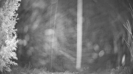 Image from 2024-12-28