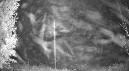 Image from 2024-12-28