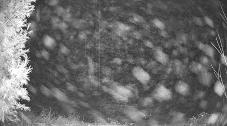 Image from 2024-12-28