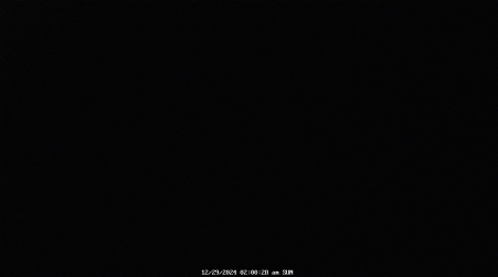 Image from 2024-12-29