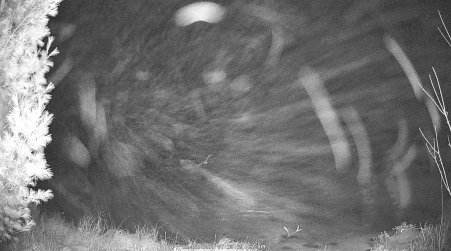 Image from 2024-12-29