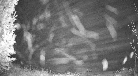 Image from 2024-12-29