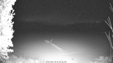 Image from 2024-12-31
