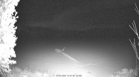 Image from 2025-01-01