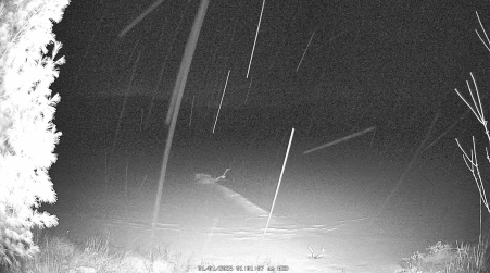 Image from 2025-01-01