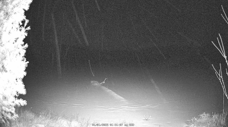 Image from 2025-01-01