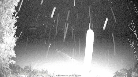 Image from 2025-01-01