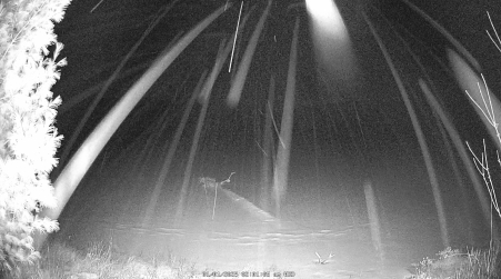 Image from 2025-01-01