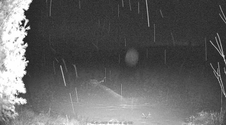Image from 2025-01-01