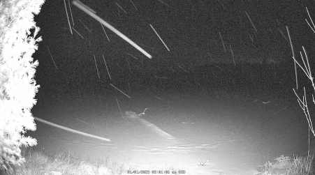 Image from 2025-01-01