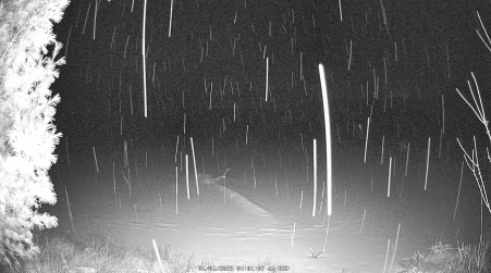 Image from 2025-01-01
