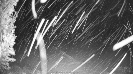 Image from 2025-01-01
