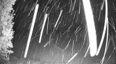 Image from 2025-01-01