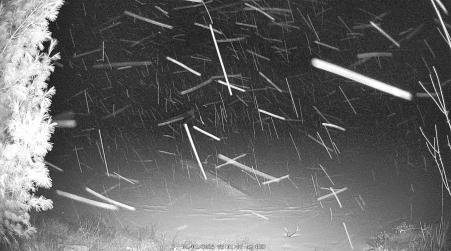 Image from 2025-01-01