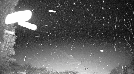 Image from 2025-01-01