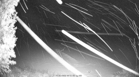 Image from 2025-01-01