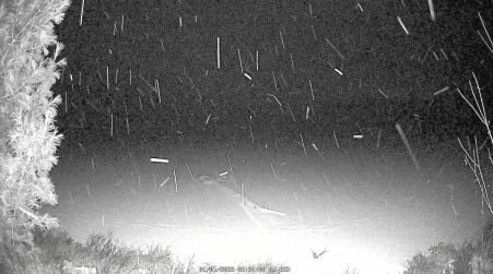 Image from 2025-01-01