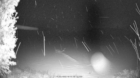Image from 2025-01-01