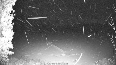 Image from 2025-01-01
