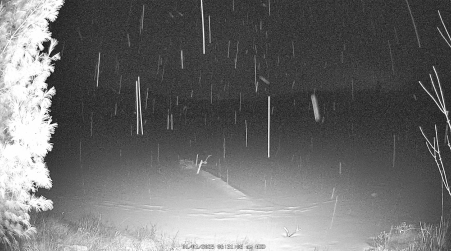 Image from 2025-01-01