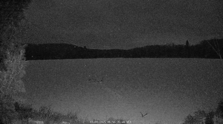 Image from 2025-01-01