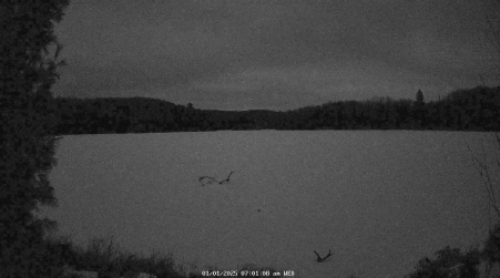 Image from 2025-01-01