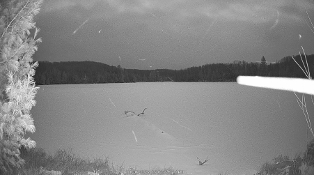Image from 2025-01-01