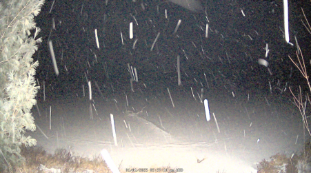 Image from 2025-01-01