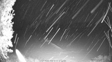 Image from 2025-01-01