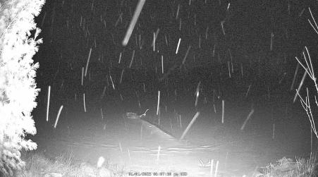 Image from 2025-01-01
