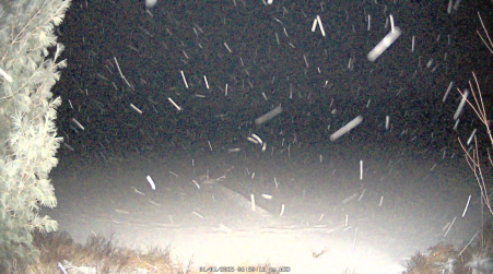 Image from 2025-01-01