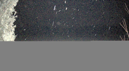 Image from 2025-01-01