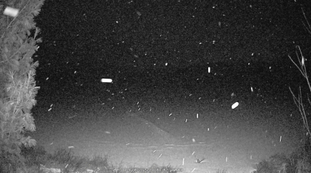 Image from 2025-01-01