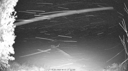 Image from 2025-01-01