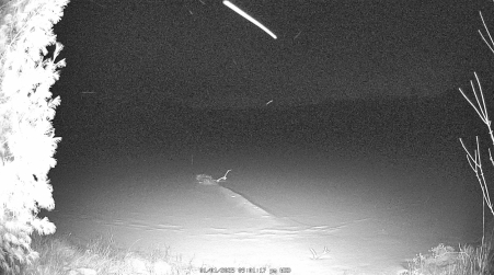 Image from 2025-01-01