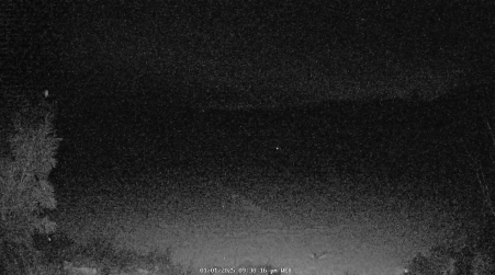 Image from 2025-01-01