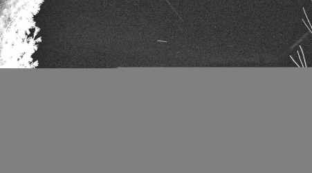 Image from 2025-01-01