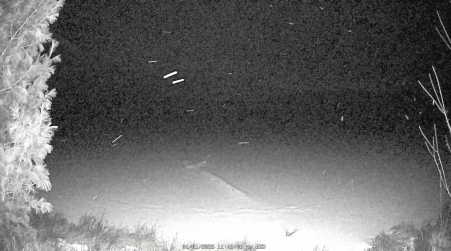 Image from 2025-01-01