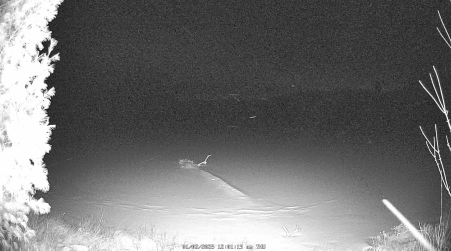 Image from 2025-01-02